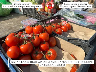 БАЗАР БААСЫНАН АРЗАН АЙЫЛ ЧАРБА ПРОДУКЦИЯЛАРЫ САТЫККА ЧЫКТЫ