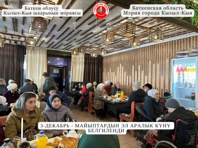 3-ДЕКАБРЬ - МАЙЫПТАРДЫН ЭЛ АРАЛЫК КҮНҮ БЕЛГИЛЕНДИ